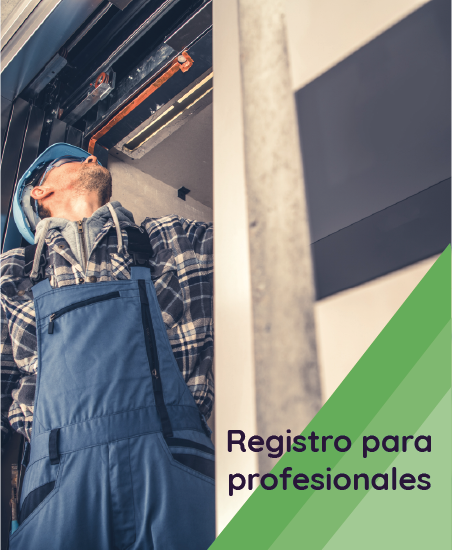 Registro Profesional
